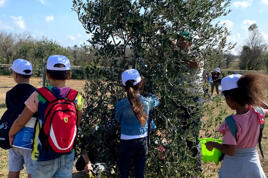 I bambini della Grecìa Salentina piantano 66 nuovi ulivi